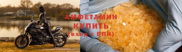 шишки Новозыбков