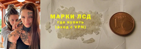 шишки Новозыбков