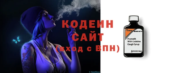 дурь Няндома