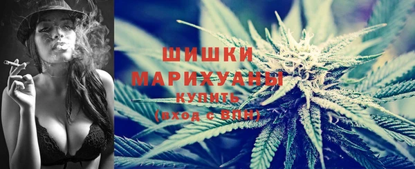 тгк Бронницы