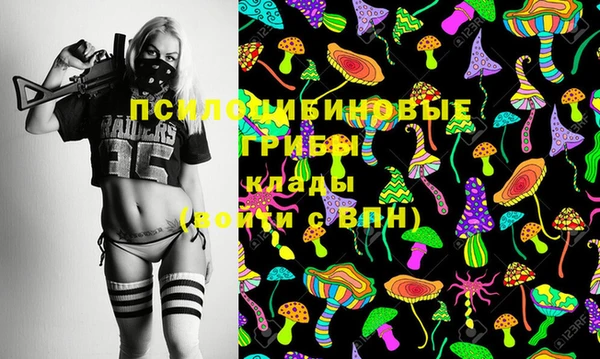 амф Новодвинск