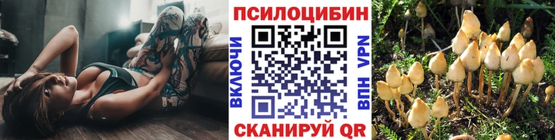 продажа наркотиков  KRAKEN маркетплейс  Галлюциногенные грибы мухоморы  Яранск 